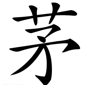 茅